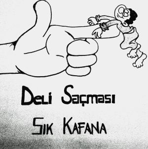 DELİ SAÇMASI